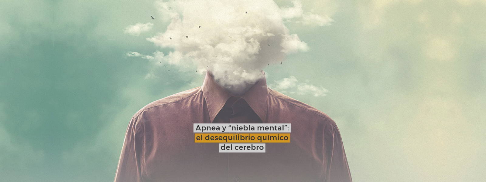 Apnea y “niebla mental”: el desequilibrio químico del cerebro